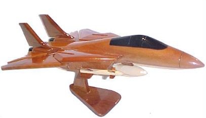 F-14 Tomcat wooden model airplane